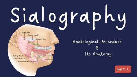 sialography /sialogram & its Anatomy Part-1 - YouTube