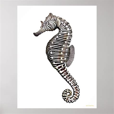 The Zebra Seahorse Art Poster | Zazzle.com