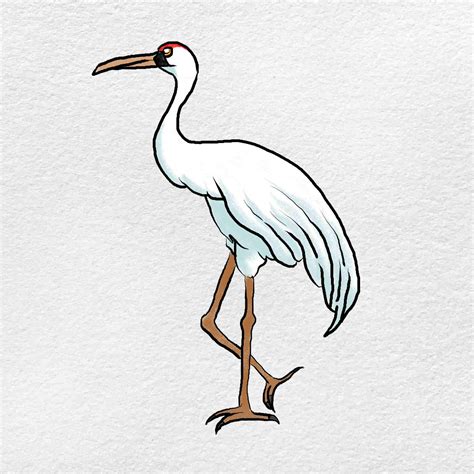 How to Draw a Crane - HelloArtsy