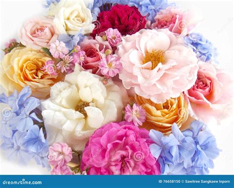 Beautiful English Rose Bouquet Stock Photo - Image of gift, flora: 76658150