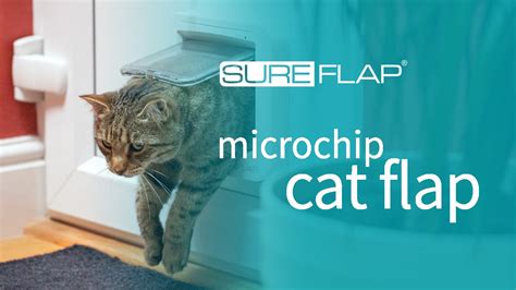 SureFlap Microchip Cat Flap & DualScan - Door Installation - YouTube