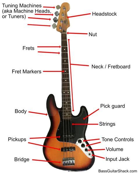 Bass Guitar Anatomy: Parts of a Bass Guitar - Bass Guitar Shack