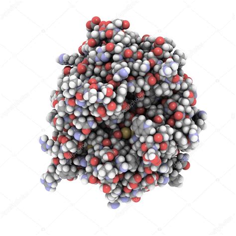 Thrombin structure — Stock Photo © molekuul #11047321