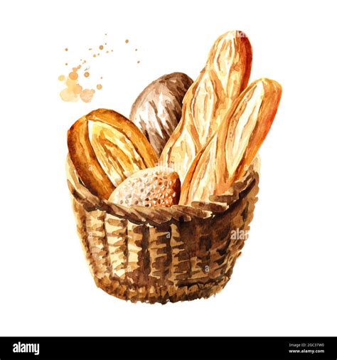 Fresh bread in the basket. Hand drawn watercolor, illustration isolated ...