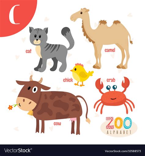 Letter C Cute animals Funny cartoon animals in Vector Image