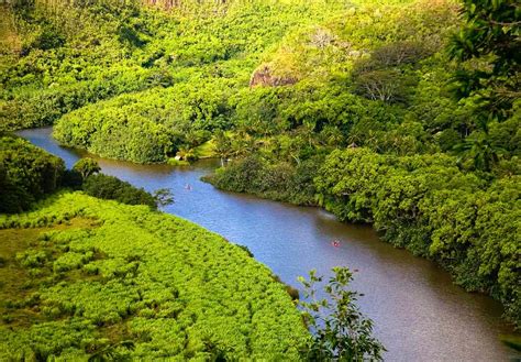 Wailua River and Waterfalls, Kauai - Reviews, Pictures, Map | Visual ...