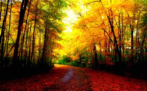 Beautiful Autumn Wallpapers - Wallpaper Cave