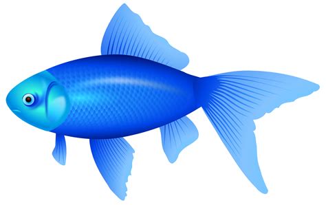 Blue Fish PNG Clipart Image - Best WEB Clipart