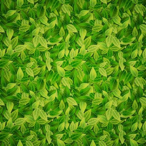 Premium Vector | Green leaves background, vector illustration