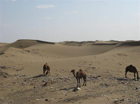 Why I Went to Asia: Into the Karakum Desert