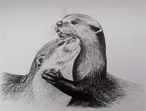 2 Otters Limited Edition Print, Black & White Drawing, Signed and ...