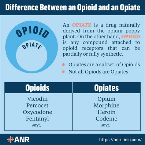 Opioid vs Opiate - Synthetic Pain Medicine Reviewed