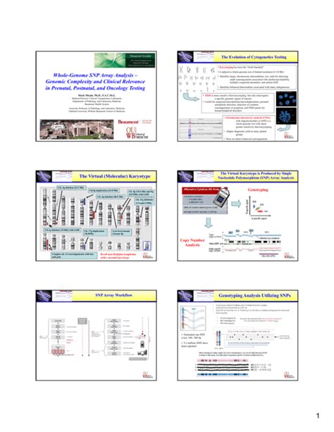 Whole-Genome SNP Array Analysis