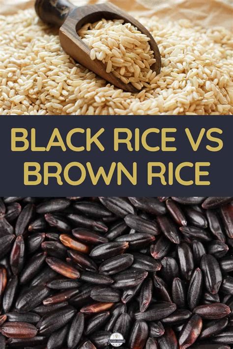 Black Rice vs Brown Rice