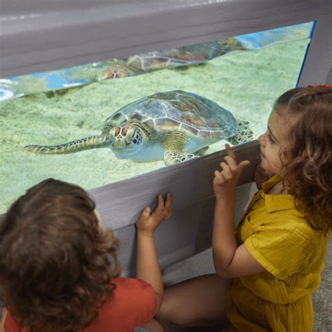 Cairns Aquarium | cairnscalendar.com.au