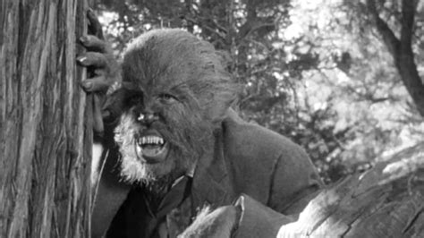 The 13 Best Werewolf Movies and Where to Stream Them