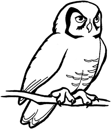 Snowy Owl Clip Art - ClipArt Best - ClipArt Best