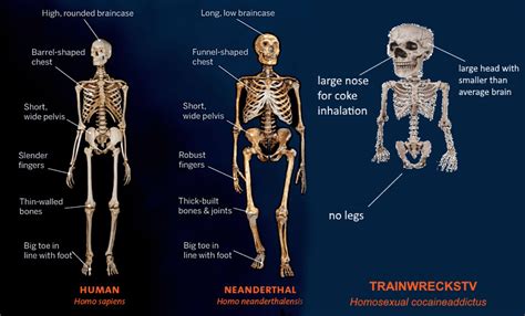 Different human subspecies compared : r/Trainwreckstv