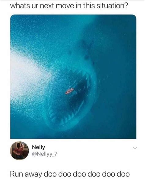 Baby Shark Meme Funny