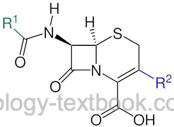 Cephalosporins: Four Generations of Beta-Lactam Antibiotics