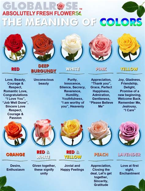 The Meaning of Colors in Flowers