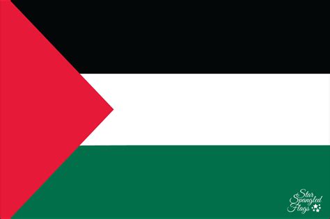 Flag of Palestine - StarSpangledFlags.com