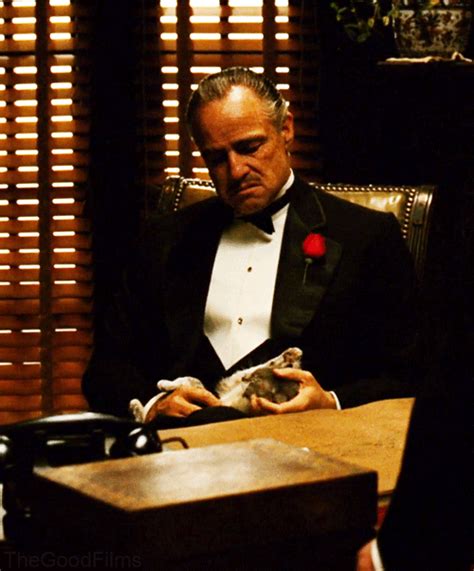 marlon brando the godfather gif | WiffleGif