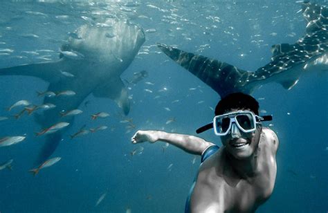 The Ultimate Florida Keys Snorkeling Guide: Expert Picks + Hidden Gems ...