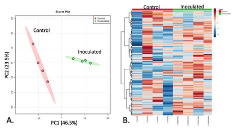 Metabolomics Data Analysis - Tips From Users - DOE Joint Genome Institute