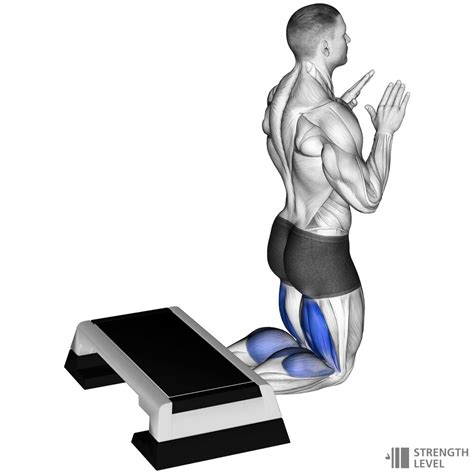 Nordic Hamstring Curl Standards for Men and Women (kg) - Strength Level