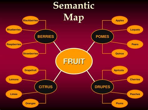 Semantic Map Template