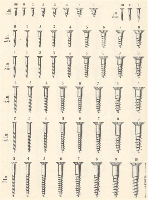 Understanding Screw Sizes