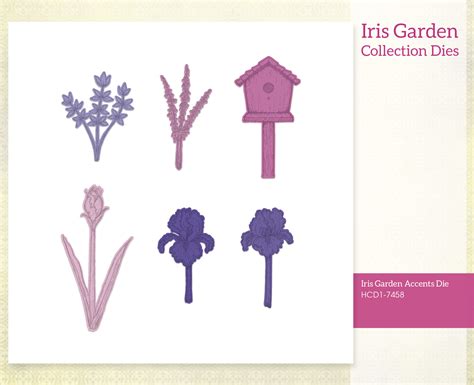 Iris Garden