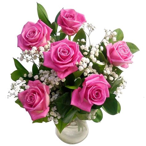 6 Pink Roses Fresh Flower Bouquet | Lovely Arrangement of 6 Pink Rose ...