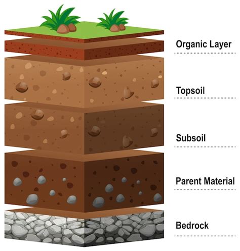 Different layers of soil on earth | Free Vector