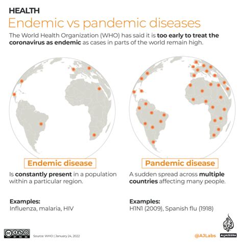 Infographic: Endemic vs pandemic diseases | Infographic News | Al Jazeera