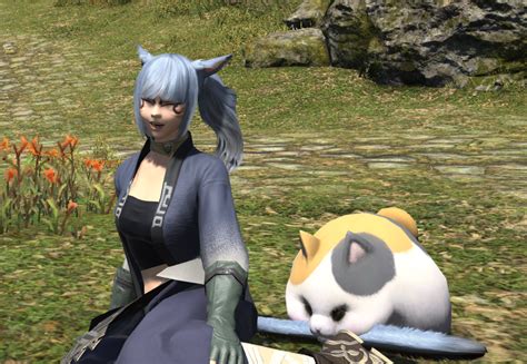 When you forget to feed the Fat Cat : r/ffxiv