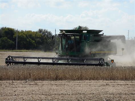 Crops, Cows and Kids: Soybean harvest