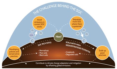 Understanding Soil Carbon Sequestration in Agriculture