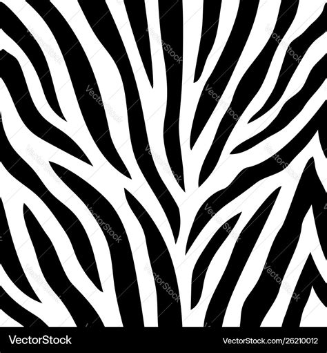 Seamless pattern with zebra stripes Royalty Free Vector