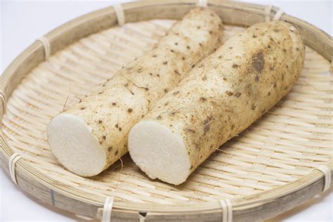 What Is Japanese Yam and How Is It Used? | 100% PURE JAPAN