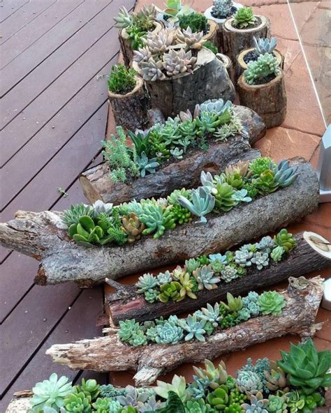 How To Repurpose Old Logs Into Gorgeous Planters That Will Spice Up ...