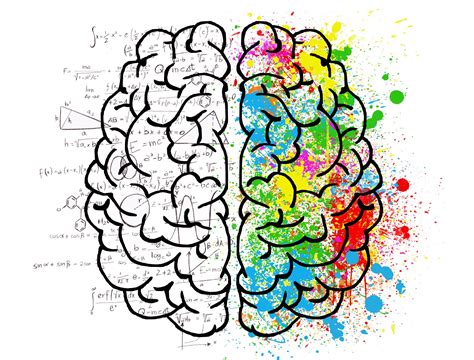 The creative-right vs analytical-left brain myth: debunked! - Dr Sarah ...