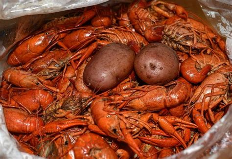 CRAWDAD HOLE - 112 Photos & 80 Reviews - 1150 Lakeland Dr, Jackson ...