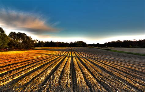 Farm Field Photograph by Robert Seifert