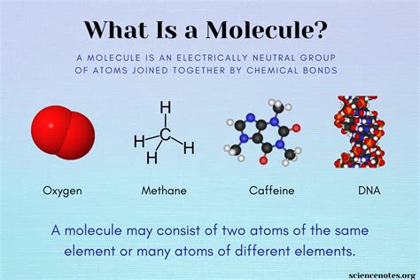 What Is a Molecule? Definition and Examples