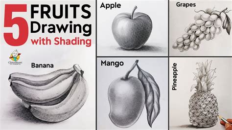 Top 999+ fruits drawing images – Amazing Collection fruits drawing ...