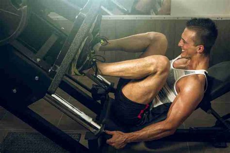 Seated Leg Press: Benefits, Muscles Worked, & Best Machines | Noob Gains