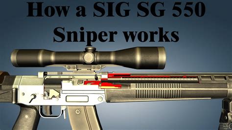 How a SIG SG 550 Sniper works - YouTube