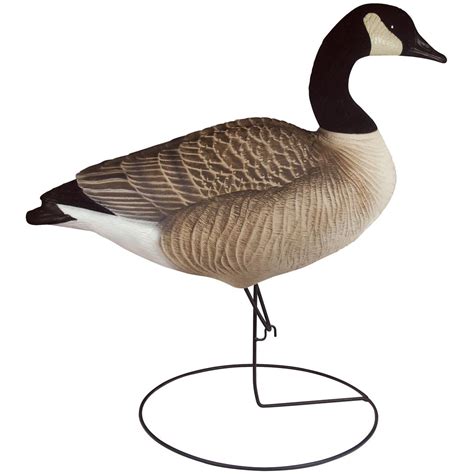 Tanglefree Pro Series Canada Goose Full Body Upright Decoys, 6 Pack ...